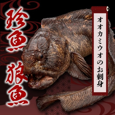 
＜数量限定＞知床斜里産の珍魚「オオカミウオ」!話題作りにいかがですか?＜凍眠にて冷凍しています＞【1410131】
