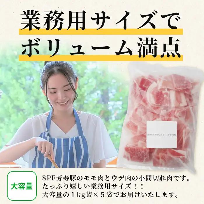 訳あり SPF 芳寿豚 小間切れ 大満足セット 1kg×5袋 合計5kg 業務用サイズ 豚肉 こま切れ 切落し 切り落とし