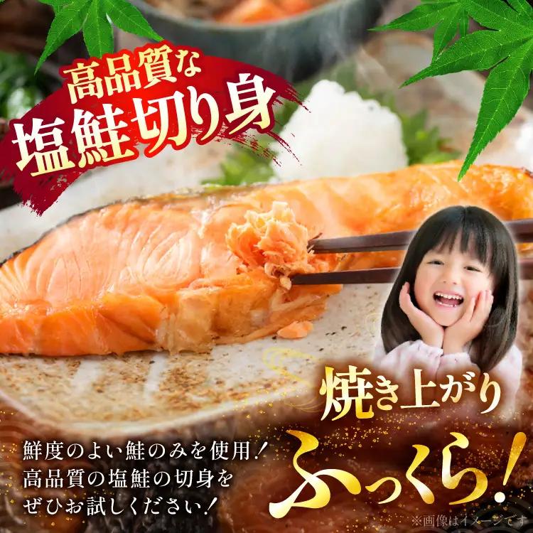 訳あり 減塩 塩鮭 切身 総重量 約1kg  サケ しゃけ 魚 鮭