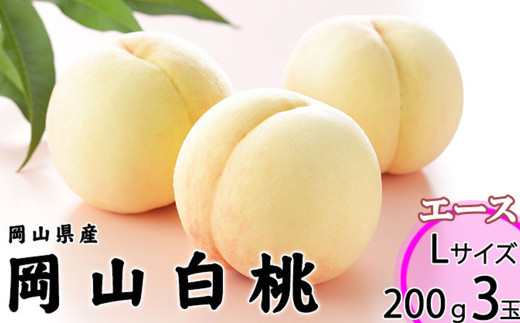 岡山白桃 エース 3玉×約200g 計約600g 岡山県産