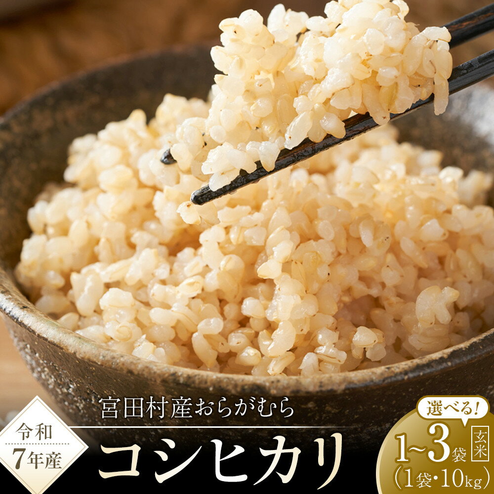 【ふるさと納税】【予約受付】【令和7年米】長野県宮田村産コシヒカリ 玄米 10 ～ 30kg ＜選べる内容量・配送月＞