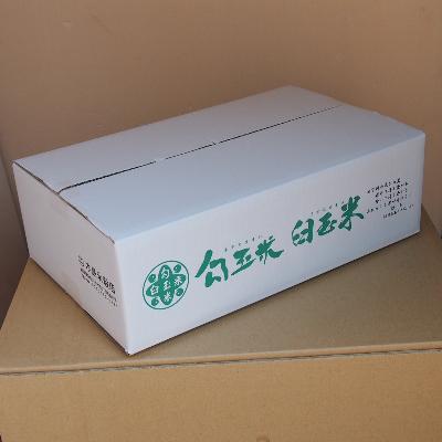 ふるさと納税 糸魚川市 勾玉米(こしひかり・精米)15kg(5kg×3袋) |  | 01