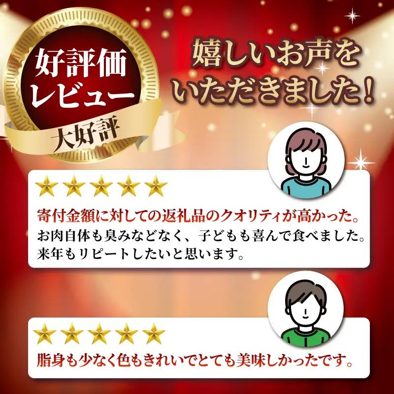 訳あり長崎県産和牛切り落とし(1,000g) 訳あり 牛肉 黒毛和牛 限定品