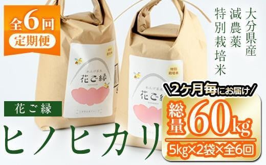 
            ＜先行予約受付中！2025年11月より奇数月発送＞＜定期便・全6回 (奇数月発送)＞減農薬特別栽培米 はなご縁 (総量60kg・5kg×2袋×6回)米 定期便 ６回 隔月 ひのひかり ヒノヒカリ 精米 白米 数量限定 大分県産【HD175】【さいき本舗 城下堂】
          