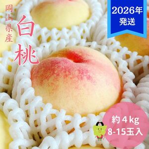 【2026年先行受付】 白桃 岡山 秀品 大玉 約4kg(8～15玉) 岡山県産 桃 もも モモ 御中元 ギフト 御礼 プレゼント 御礼 御祝 御供 果物 くだもの フルーツ