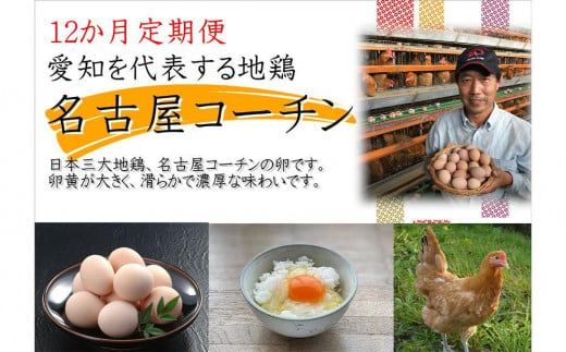 
【12か月定期便】日本三大地鶏！！ 「純系　名古屋コーチンの卵」（30個） 本当に美味しい食べ物は調味料の味に負けません！
