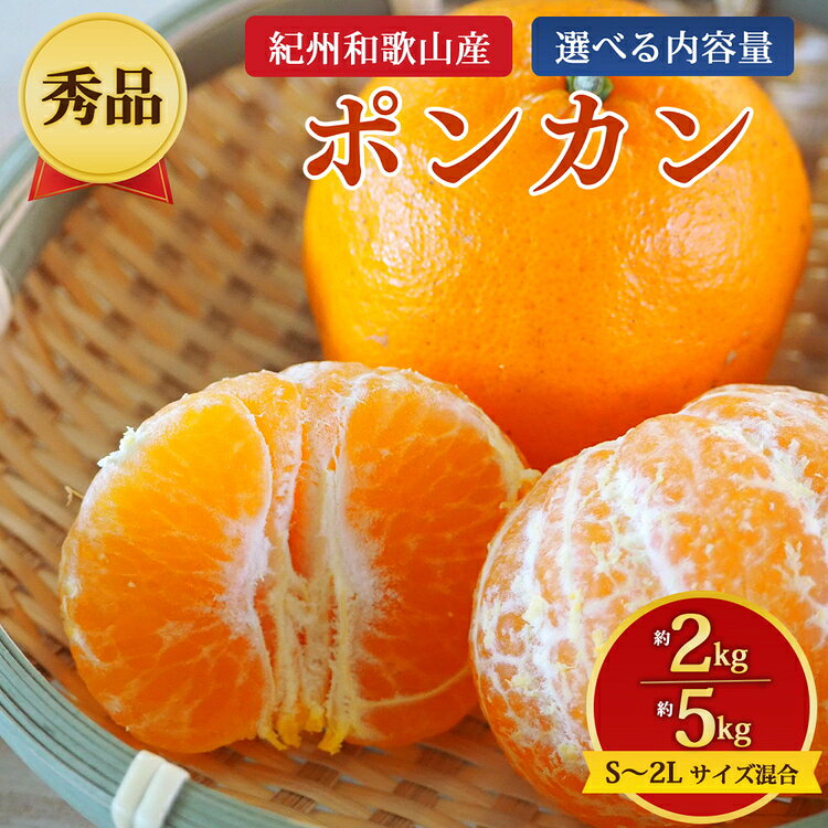 【ふるさと納税】＼選べる内容量／【秀品】紀州和歌山産 ポンカン 約2kg、約5kg S～2L サイズ混合