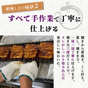 【2025年12月～順次発送】《数量限定》うなぎ蒲焼 1人前 1尾 冷蔵 三島名物 老舗 鰻問屋 うなぎ 蒲焼き 鰻 ウナギ 真空パック 浜名湖 土用丑の日 贈答用 惣菜 うな重 うな丼 伝統 贈り物