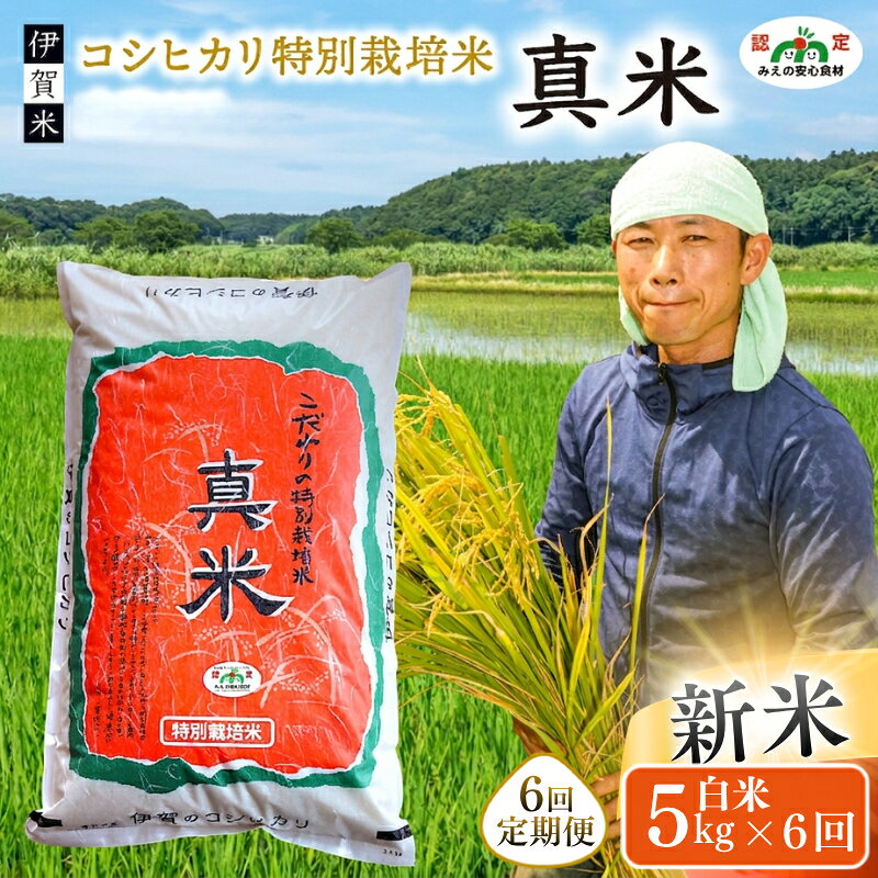 【ふるさと納税】 米 伊賀米 令和8年産新米 特別栽培米「真米」白米5kg ×6回お届け定期便 /「みえの安心食材認定米！ 大粒！モチモチ！つやつや！」米 こめ 令和8年産 コシヒカリ精米 モチモチ 食感 つやつや 5kg 送料無料 三重県伊賀市