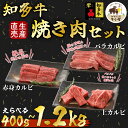 【ふるさと納税】 生産直売 知多牛 響 焼肉セット 選べる 400g~1.2kg 上カルビ、バラカルビ、赤身カルビ おまかせ 冷凍 ( ふるさと納税 肉 カルビ ふるさと納税 牛 カルビ ふるさと納税 牛肉 カルビ ふるさと納税 知多牛 ふるさと納税 焼き肉 カルビ ) 愛知県 南知多町