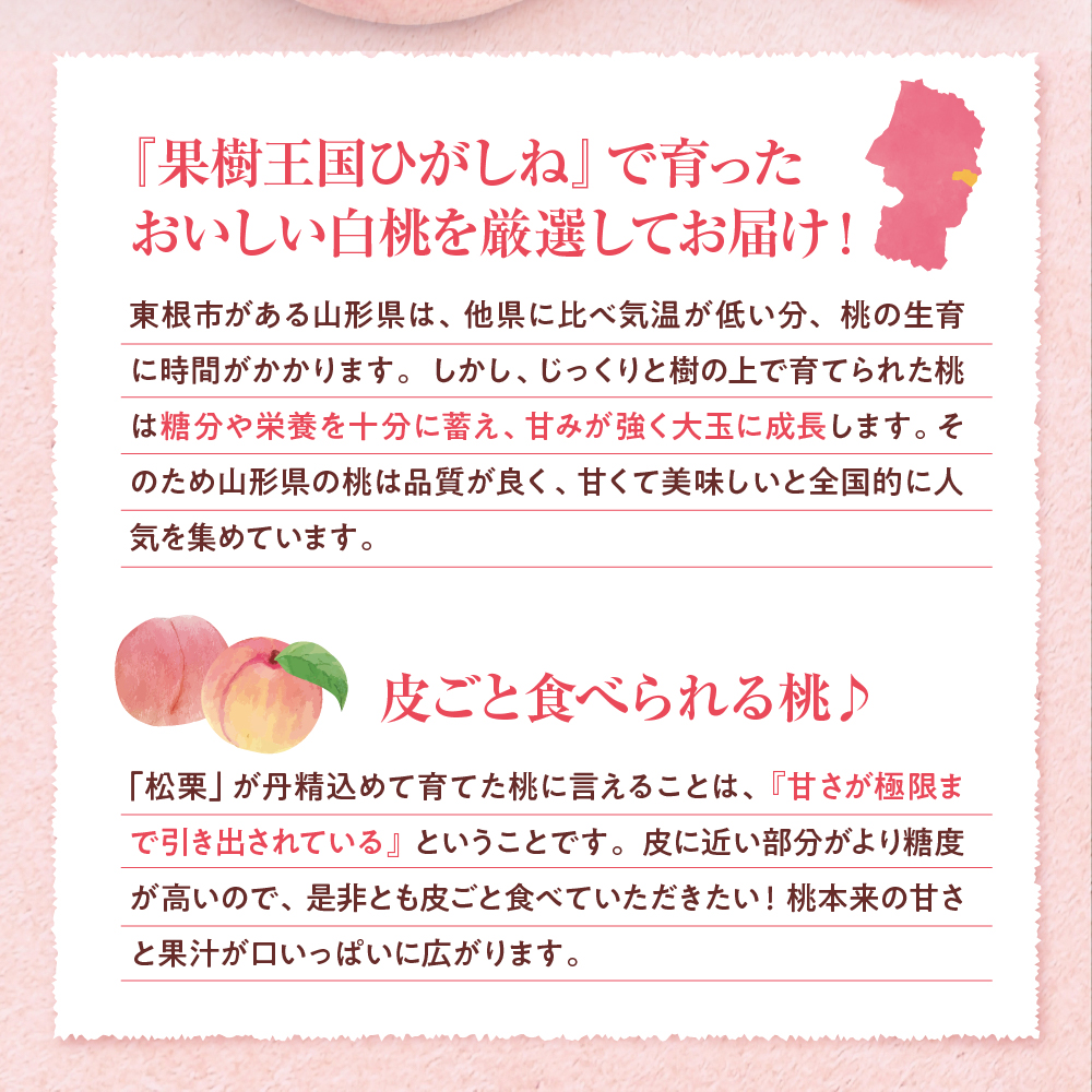 【2025年産　先行予約】白桃 品種おまかせ 秀品2kg(硬め) 山形県 東根市　hi004-hi062-021-2_イメージ2