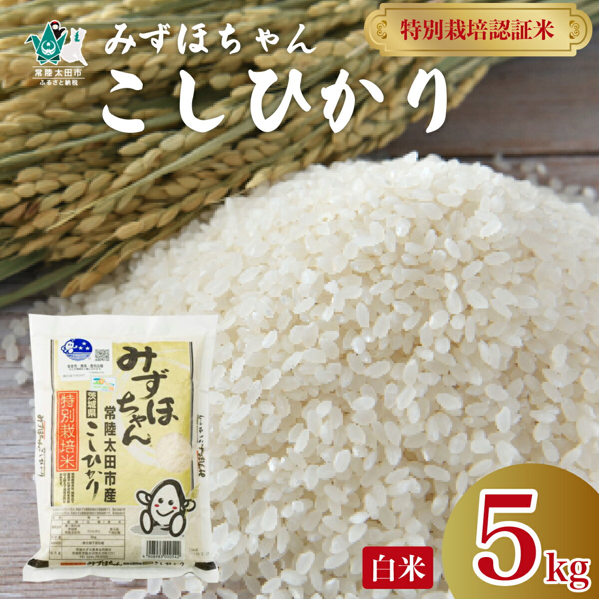 【ふるさと納税】令和6年産 特別栽培米 こしひかり みずほちゃん 5kg | 茨城県 常陸太田市 お米 白米 精米 新米 コシヒカリ 5kg 令和6年産 ブランド米 ツヤツヤ もっちり ふっくら 甘み 柔らかい 美味しい ご飯 おむすび お弁当 和食 お取り寄せ プレゼント 贈答
