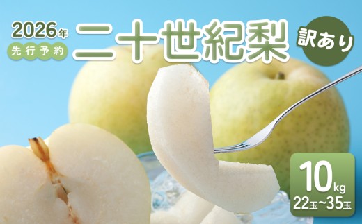 【2026年 先行予約】訳あり 二十世紀梨 10kg｜鳥取 東光園 梨 2026年収穫後 2026年8月下旬～9月頃順次発送※着日指定不可【41060】