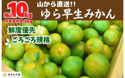 ゆら早生 みかん 山から直送 箱込 10kg (内容量 9.2kg) 採れたてそのままごろごろ規格 有田みかん 和歌山県産 【みかんの会】みかん 果物 みかん フルーツ みかん 和歌山 みかん 柑橘類 みかん 和歌山県産 みかん 有田 みかん