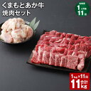 【ふるさと納税】【定期便】【1ヶ月毎11回】くまもとあか牛 焼肉セット 計11kg（1kg×11回） もも焼肉 700g ホルモン 300g 和牛 牛肉 お肉 あか牛 赤身 霜降り モモ肉 もつ モツ グルメ お取り寄せ 冷凍 熊本県産 国産 熊本県 上天草市 送料無料