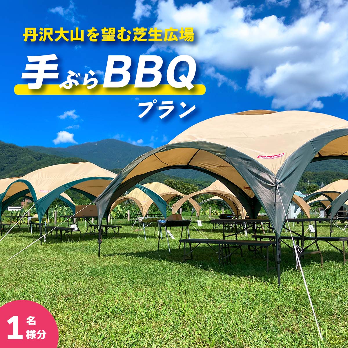 【ふるさと納税】[食材付] 丹沢大山を望む芝生広場で手ぶらBBQプラン (1名様分)｜BBQ バーベキュー アウトドア [0282]