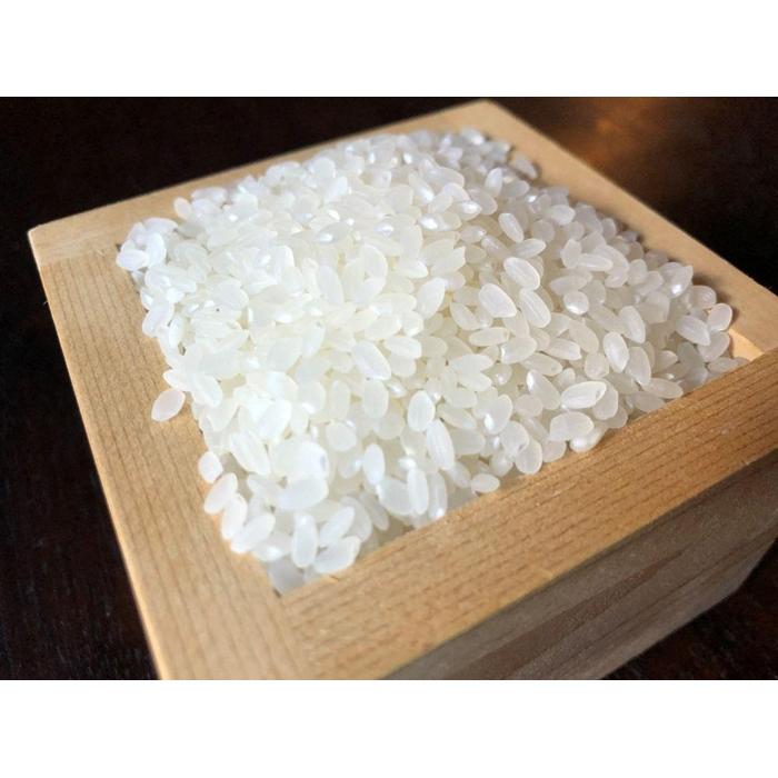 【ふるさと納税】令和8年産新米　丹波篠山の山水で栽培！有機コシヒカリ5kg 兵庫県 丹波篠山市 白米 100％単一原料米 産地直送米 贈答 おいしい お米 精米 ブランド おこめ 健康 ギフト 内祝い 贈り物 送料無料 おすすめ 人気 口コミ