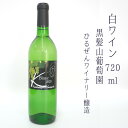 【ふるさと納税】ワイン 白ワイン 720ml 辛口 酒 お酒 ソーヴィニヨンブラン ソービニヨンブラン ぶどう 日本ワイン 国産ワイン A級食材 おいしい 美味しい おすすめ 人気 贈答 贈答品 贈答用 ギフト プレゼント 黒髪山葡萄園 ひるぜんワイナリー 特産品