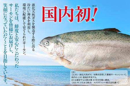 知多クールサーモン(スモークサーモン　100g×5パック） 数量限定 スモークサーモン 鮭 さけ 魚 海鮮 魚介類 おつまみ スモーク オードブル おかず 惣菜 お取り寄せ 冷凍 国産 燻製 愛知県 