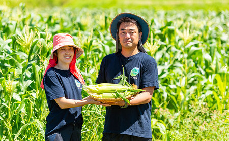 濃い甘さの白いとうもろこし（ホワイトコーン）　5本×2箱　個包装 とうもろこし トウモロコシ コーン 白いとうもろこし ホワイトコーン 朝どり 甘い 旬 兵庫県 洲本市 淡路島