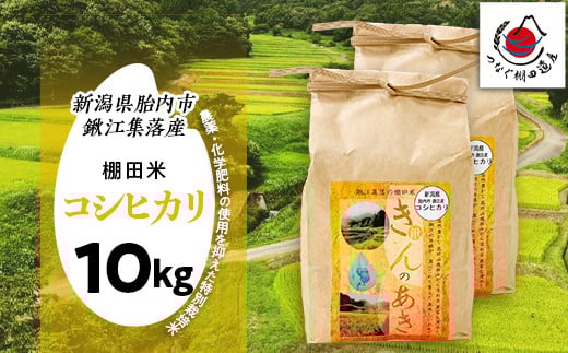 棚田米きんのあき10kg（5kg×2袋） 新潟県胎内市鍬江集落産 コシヒカリ 特別栽培米