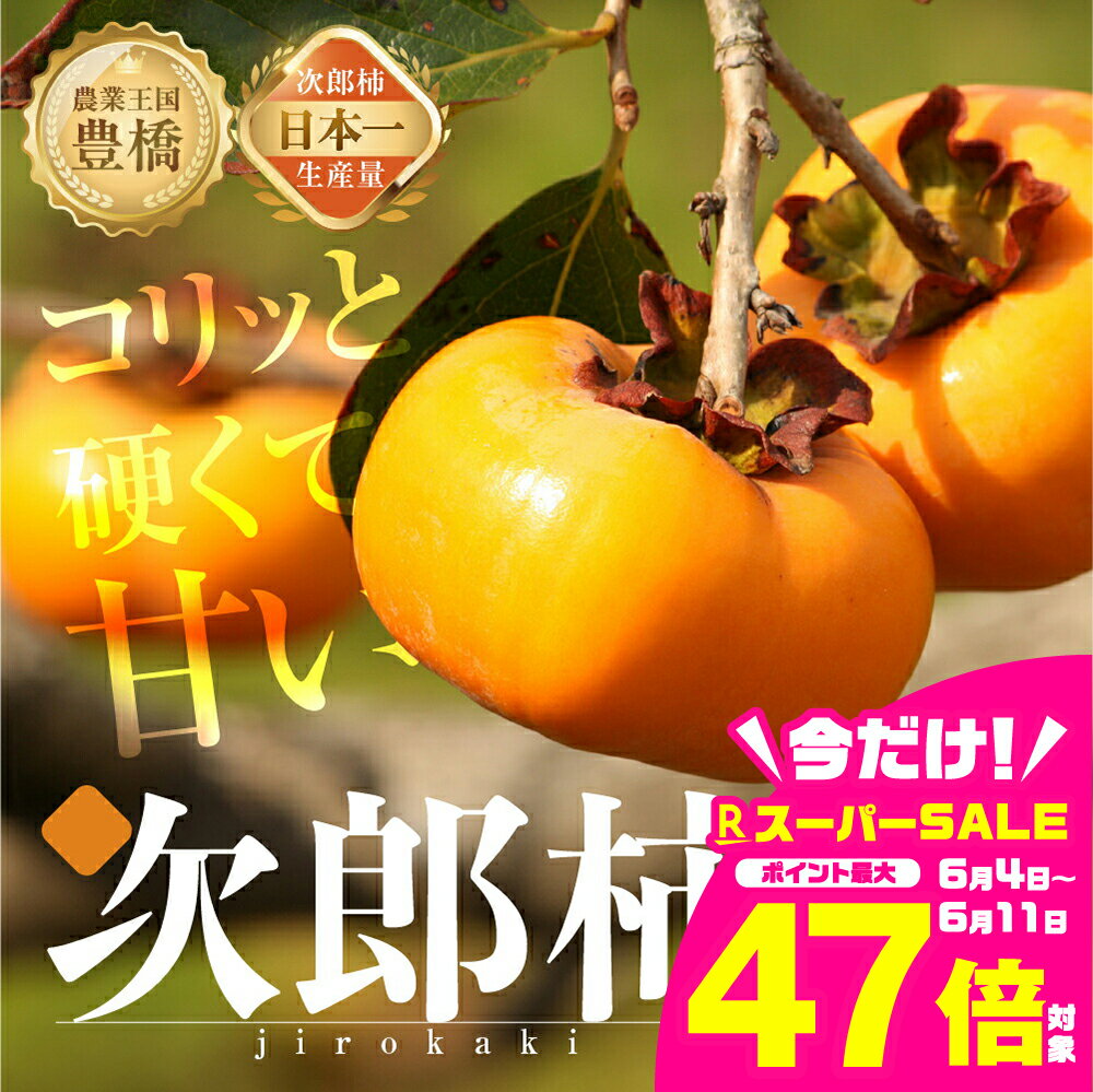 【ふるさと納税】≪先行予約≫ 生産量日本一 豊橋石巻産 次郎柿 ご自宅用 10kg 柿 訳あり 不揃い (30〜50玉) 甘柿 果物 フルーツ 10月 11月 愛知県 豊橋市