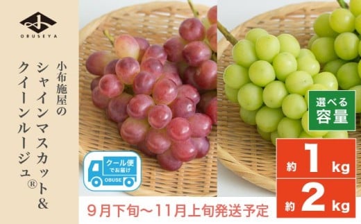 
                  シャインマスカット＆クイーンルージュ_ 約1kg 約2kg 選べる内容量  ［小布施屋］ 果物 フルーツ ぶどう 葡萄 令和7年産【2025年9月下旬～11月上旬発送】
                