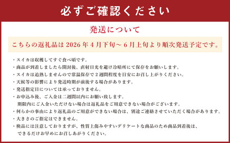 大玉スイカ 1玉（6kg以上） スイカ すいか 西瓜 大玉 果実 国産 熊本県産【2026年4月下旬～6月上旬迄順次発送予定】
