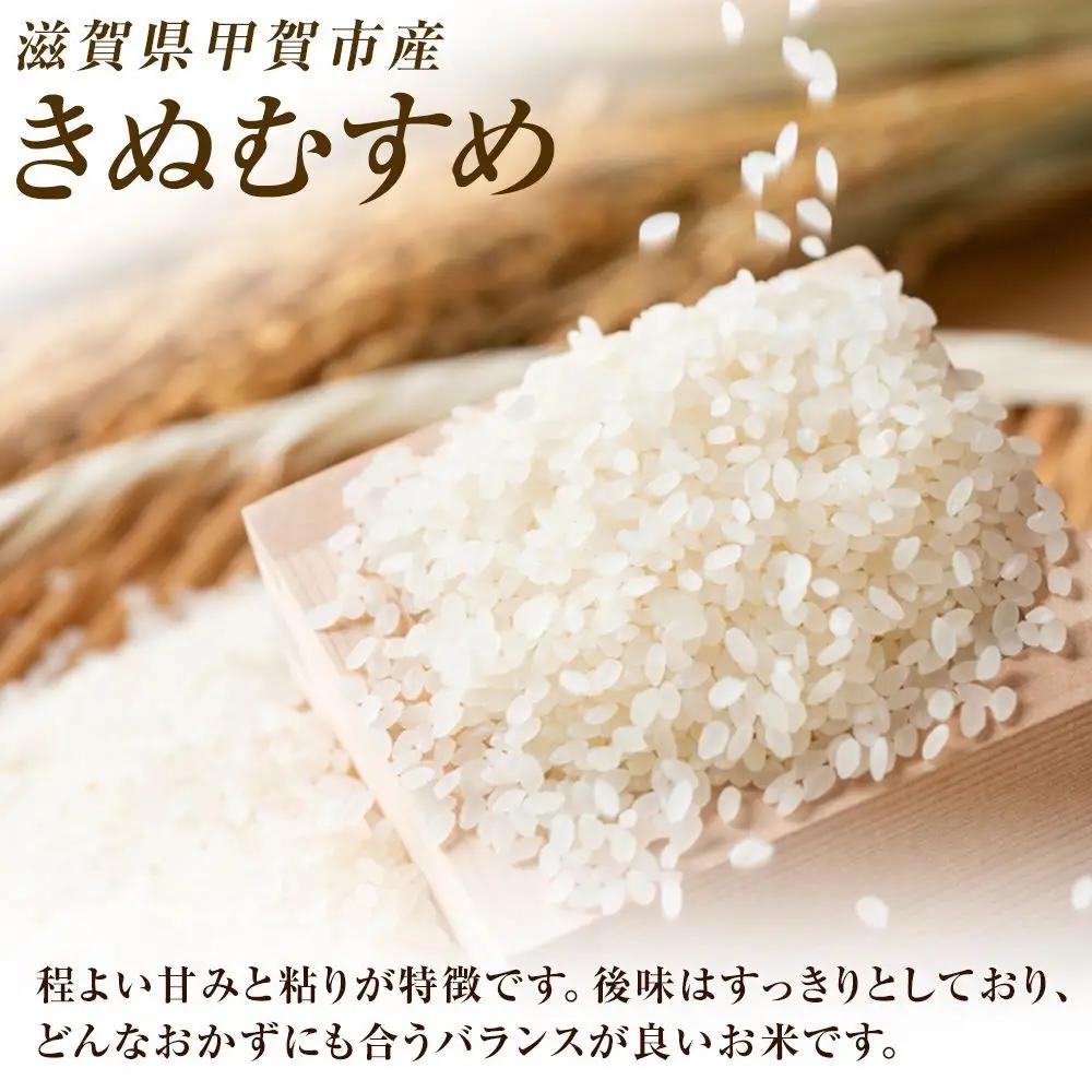 【令和8年産 新米 先行予約】近江米きぬむすめ白米5kg×3回定期便※2026年9月～発送