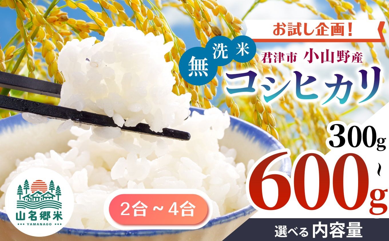 
            新米 【9月上旬から順次発送】 令和7年産 君津市小山野産 コシヒカリ 無洗米 少量 選べる容量 2合 3合 4合 レターパックライト |  あかかげ農園 メディアで紹介 ！ 山名郷米 やまなごう まい 千葉稲作 しんまい シンマイ こしひかり 千葉県産 むせんまい 米 コメ こめ お米 千葉県 君津市 きみつ
          