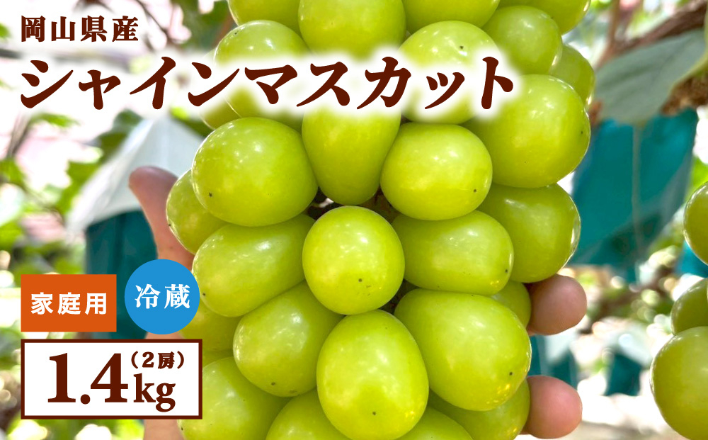 【家庭用】2026年9月発送 岡山県産 シャインマスカット 1.4kg 家庭用 1.4kg