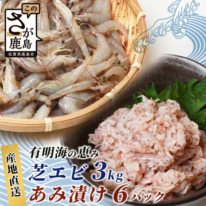 【ふるさと納税】あみ漬け 6パック ＆ 冷凍芝エビ（真エビ）3kg【有明海産 アミエビ使用】鮮度抜群 お茶漬けやお酒のお供におススメ 海鮮 海老 エビ 酒の肴 おつまみ 産地直送 芝海老 真海老 素揚げ 簡単 美味しい C-98