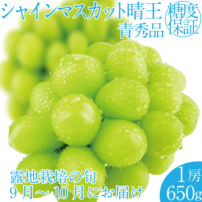 2026年 先行予約受付中 シャインマスカット晴王 1房 約650g 岡山県産 種無し 皮ごと食べる みずみずしい 甘い フレッシュ 瀬戸内 晴れの国 おかやま 果物大国 ハレノフルーツ