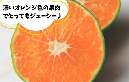 ゆら早生 みかん 箱入5kg(内容量 4.4kg) SMLサイズのいずれか 秀品 優品 混合 有田みかん 和歌山県産 【みかんの会】