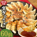 【ふるさと納税】 鹿児島生ぎょうざ 60個（10個入 × 6パック） 餃子のタレ1本入り AS-0101 味処まるしょう お肉のまるしょう 餃子 ブランド豚 茶美豚 国産 生餃子 生ギョーザ 豚肉 母の日 父の日 敬老の日 お中元 お歳暮 冷凍 送料無料