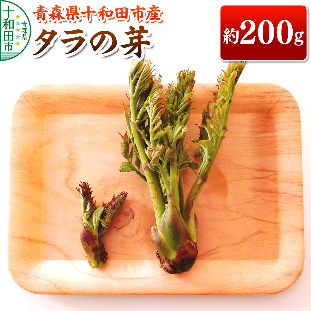 【ふるさと納税】【2027年4月下旬発送・先行受付】山菜 タラの芽 約200g 青森県十和田市産 [旬のもの 山菜 春 たらの芽 タラッポ たらっぽ]
