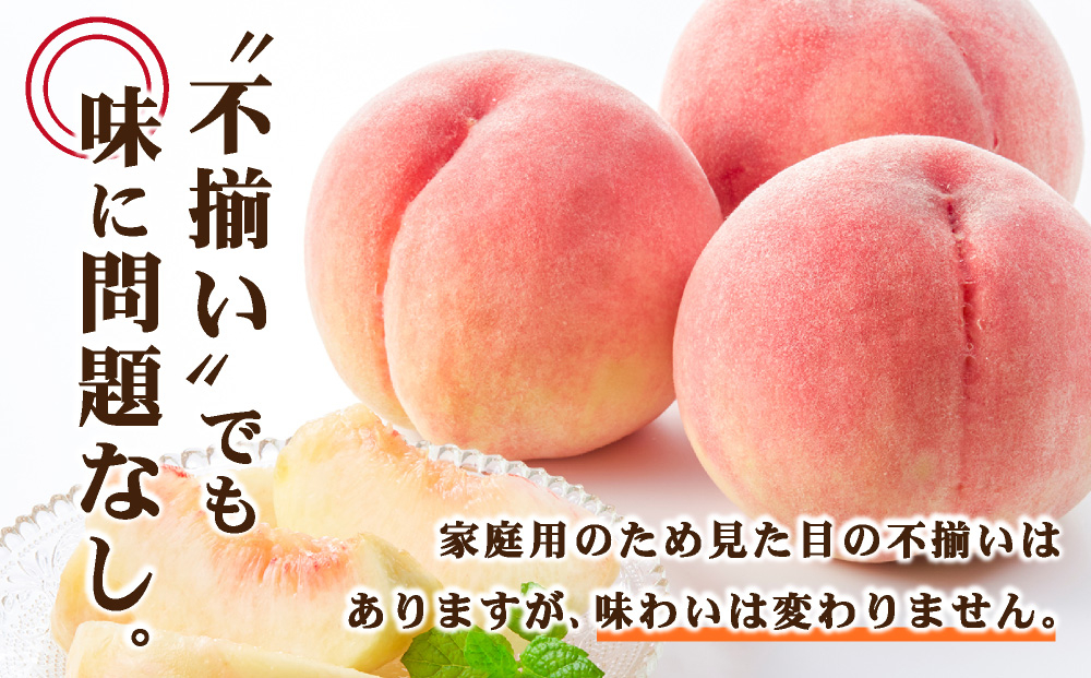 【家庭用】岡山県産 旬の桃 白桃 品種おまかせ 2kg 2kg
