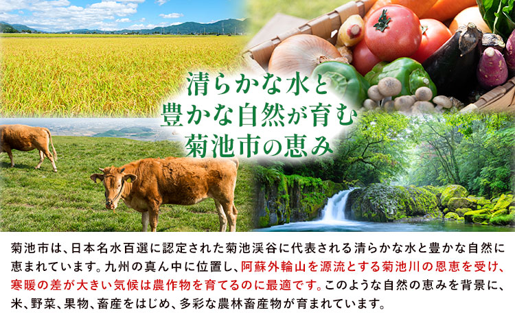 肥後グリーンメロン 約2-2.4kg×2玉【養生市場】 有限会社七城町特産品センター《5月中旬-6月中旬頃出荷》熊本県 菊池市 メロン グリーンメロン 果物 フルーツ 熊本県産 送料無料---003-