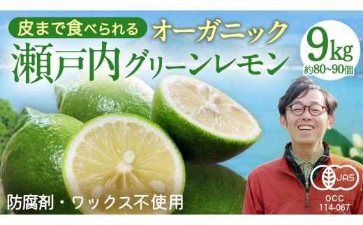 【 先行予約 】 瀬戸内 オーガニック グリーンレモン 9kg (80～90個程度) 【2026年10月以降発送】 レモン 有機JAS ワックス不使用 防腐剤不使用 国産 広島 選べる内容量 広島レモン 瀬戸内レモン 有機レモン ノーワックス 柑橘 産地直送 中原観光農園 大崎上島
