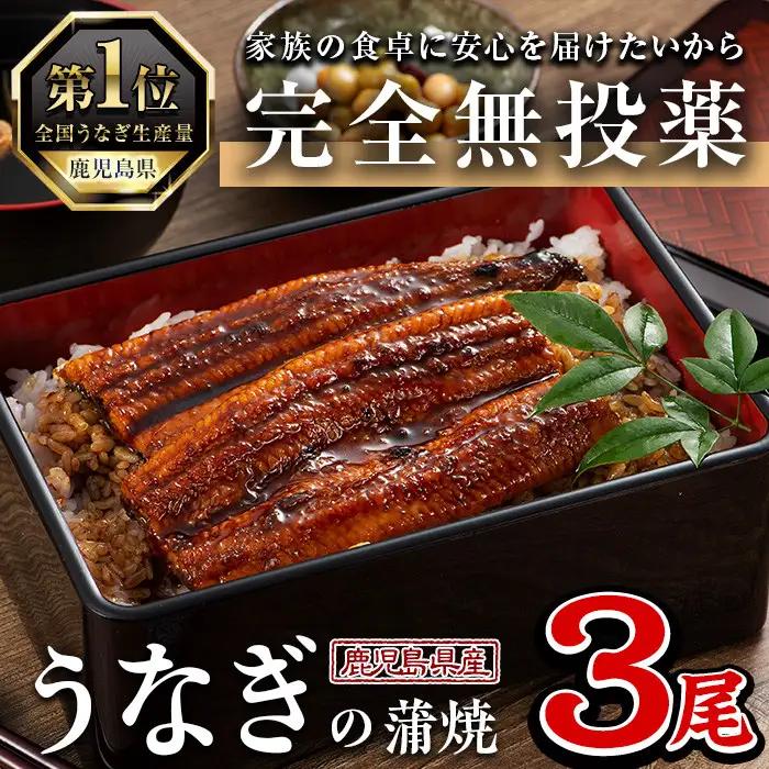 うなぎ 無投薬 鹿児島県産 (1尾あたり136g～155g×3尾) うなぎ【西日本養鰻】A583