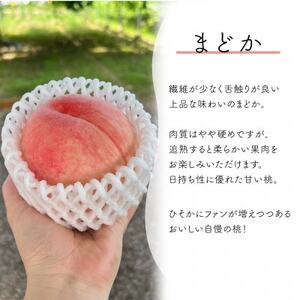 【きよとうファーム】上品な肉質 まどか 白桃 ご家庭用 5-7玉入(岡山県産)【配送不可地域：離島】【1571599】