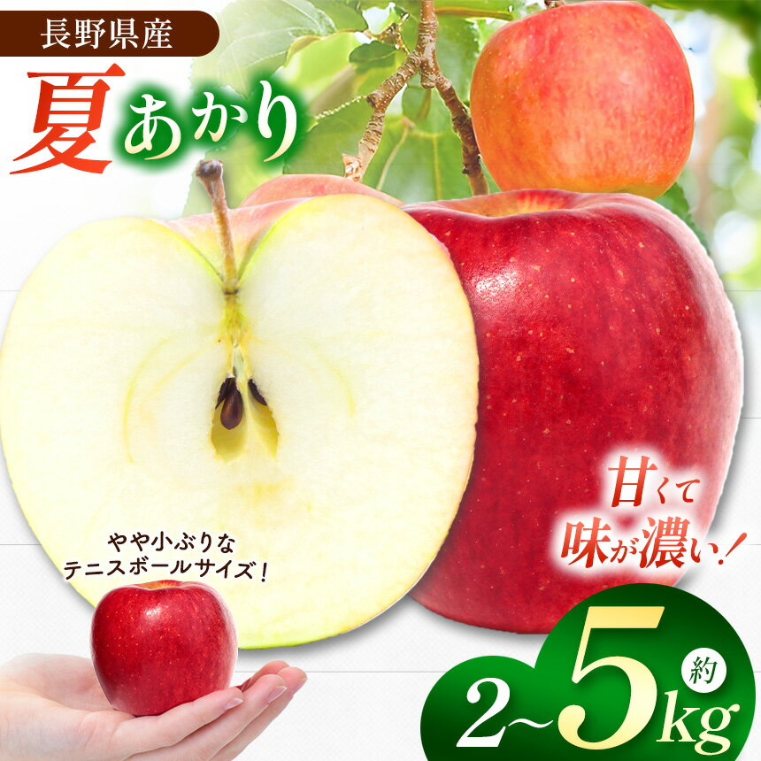 【ふるさと納税】【選べる夏あかり】夏りんごの革命児。甘くて硬い味の濃いりんご、夏あかり 約2kg 約3kg 約5kg【先行予約】｜ りんご リンゴ 林檎 果物 フルーツ くだもの 信州産 なつあかり 長野県 松本市