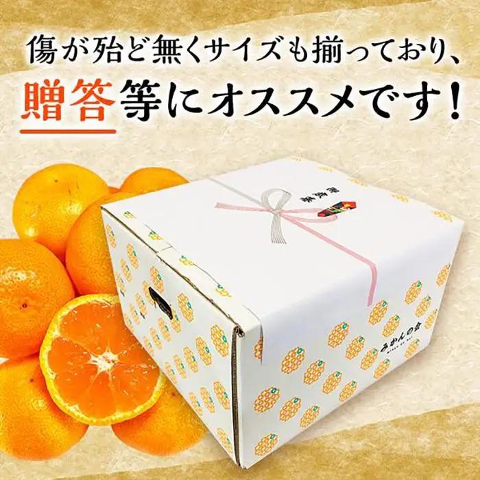 みかん Ｍサイズ 秀品 箱込 5kg (内容量約 4.4kg) 有田みかん 和歌山県産 産地直送 贈答用 ［2026年11月中旬より順次出荷予定］［みかんの会］