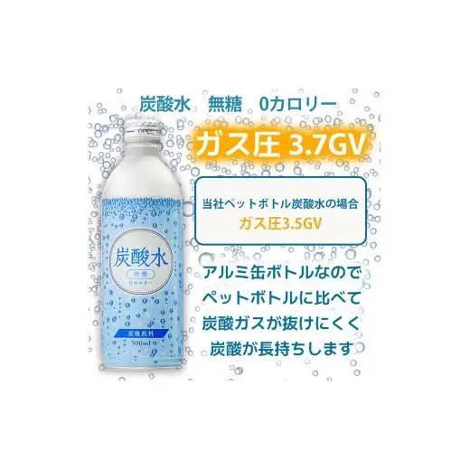 炭酸水 定期便 毎月 12回 500ml×24本 ソーダ