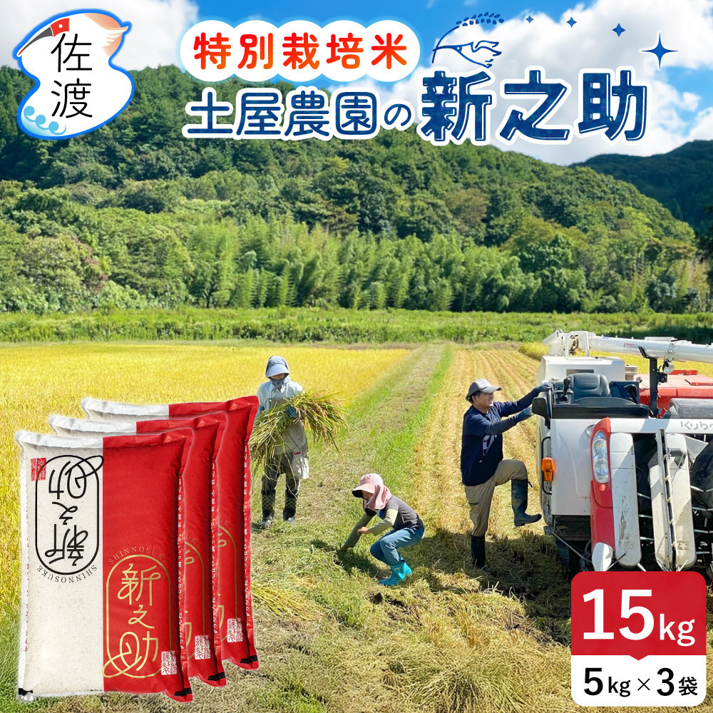 佐渡島産新之助 無洗米15Kg（5Kg×3袋） 土屋農園 特別栽培米 令和7年産【食の宝島佐渡】