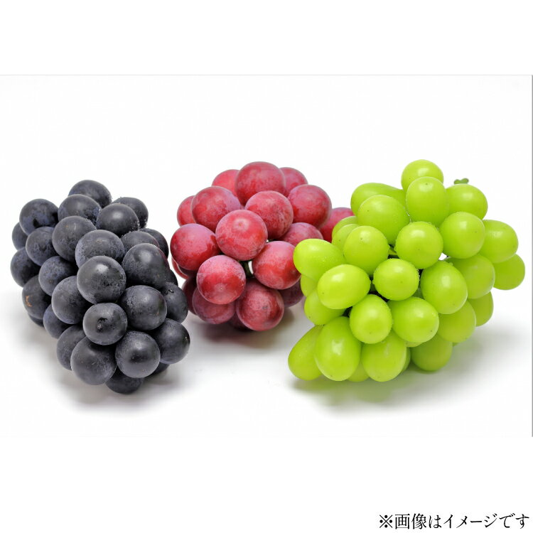 【ふるさと納税】【期間限定発送】 ぶどう 3種 食べ比べ セット ( シャインマスカット ピオーネ クイーンニーナ マイハート クイーンセブン ) [tk06ayt020007 山形県 高畠町 四釜昌和] ぶどう ブドウ 葡萄 マスカット 大粒 種なし 果物 フルーツ くだもの