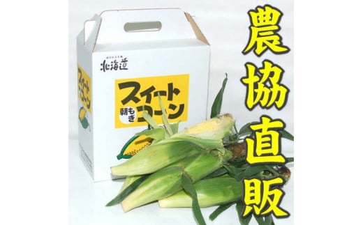 【令和7年度出荷先行予約！】北海道岩見沢市産とうもろこし2Lサイズ24本【11112】