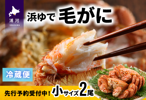 【今が旬！】漁協の浜ゆで毛がに 小サイズ２尾セット※日付指定対応不可※[02-1202]