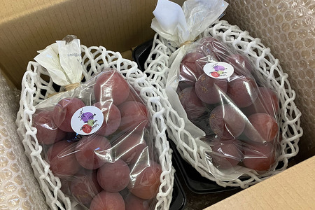 【レビューキャンペーン】【25年9月～発送】 【訳あり】 クインニーナ 1kg【先行受付】 ぶどう フルーツ 果物 ブドウ 葡萄 グレープ くだもの 産地直送