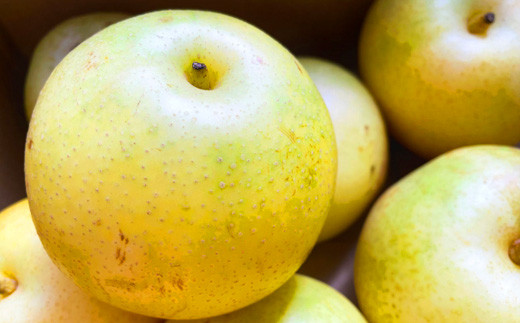 ※画像はイメージです